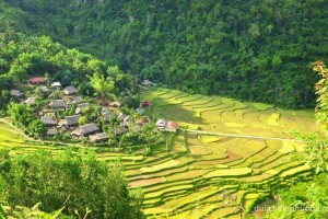 Hà Văn Mao và dòng họ quan lang Hà Công ở Bá Thước